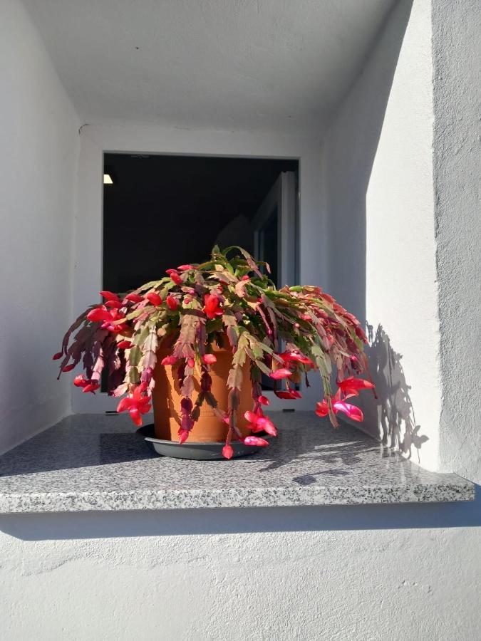 Apartament Apartamento De La Haya, Junto Al Teatro Romano Mérida Zewnętrze zdjęcie